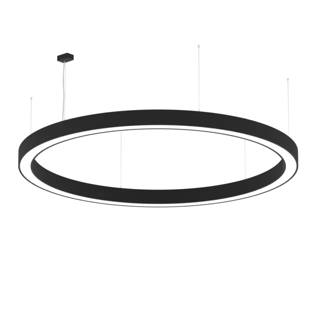 AR1004.
