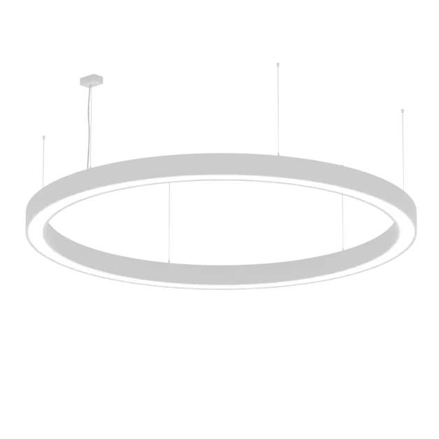 AR1004.