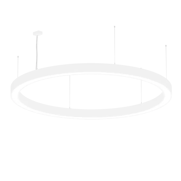 AR1004.