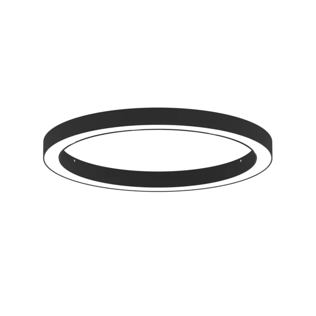 AR1007.
