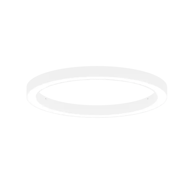 AR1007.
