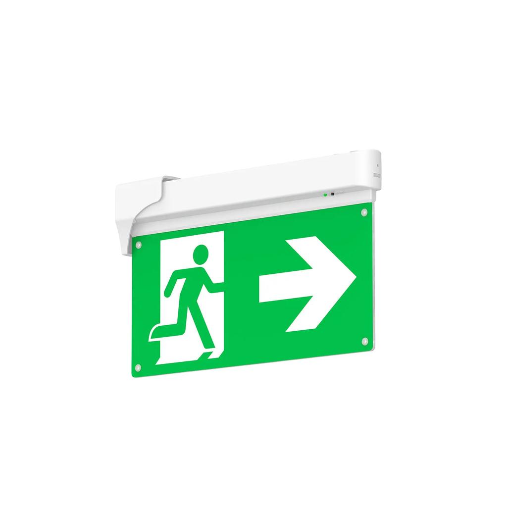 EM1003 M-Light International