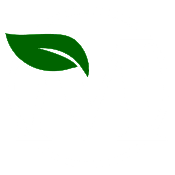 M-Light International