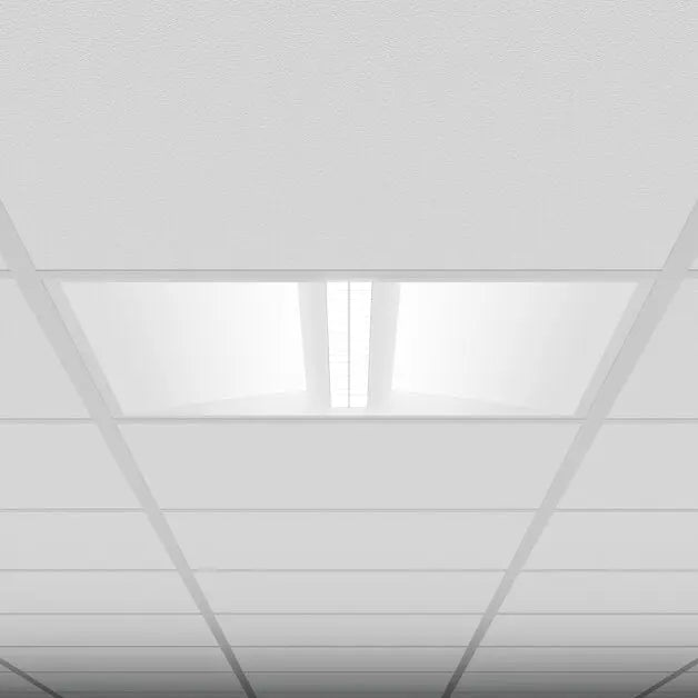 SC1009.
