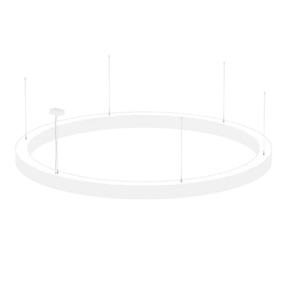 AR1005.