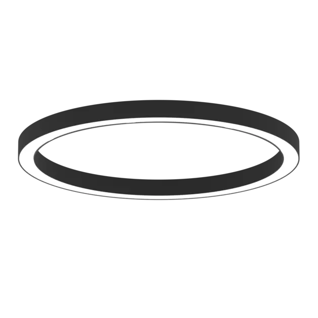 AR1006.