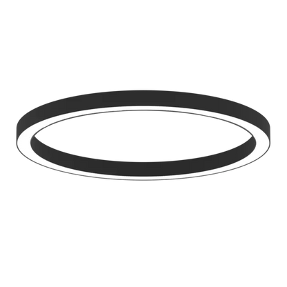 AR1006.