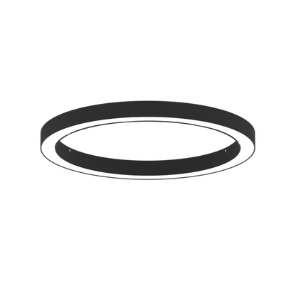 AR1007.