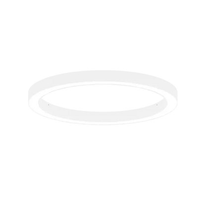 AR1007.