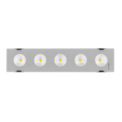 ID1008 M-Light UK
