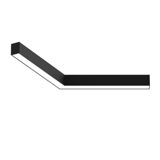 LS1013.