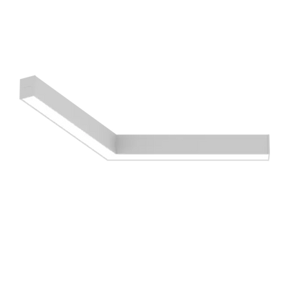 LS1013.