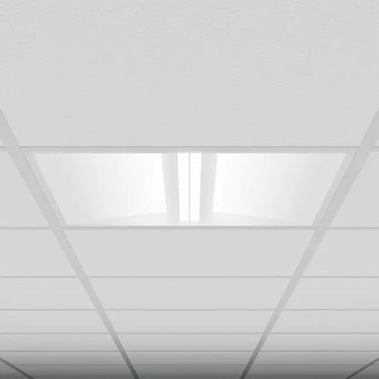 SC1009.